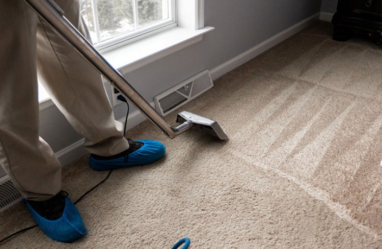 How Quickly Do Steam Cleaning Services Clean Carpets?