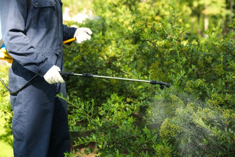 Various Types Of Biological Pest Control Agents