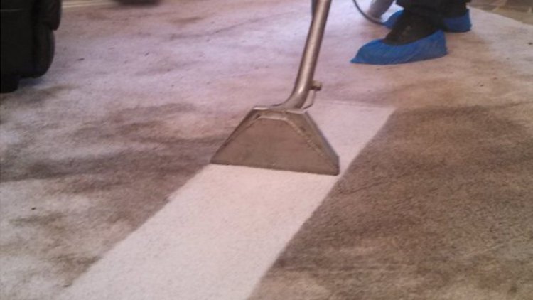Maintaining a Fresh and Clean Home: The Importance of Regular Carpet Cleaning